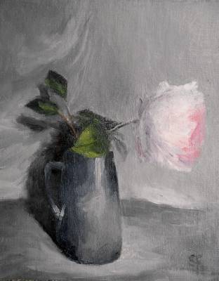 "Little Pink Rose" - Oil on canvas.SOLD - Painting by Sian Foan, an artist from Auckland, New Zealand.